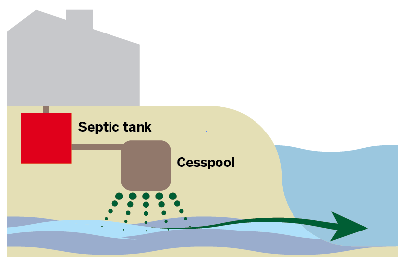 Septic tank: $5,500-$7,000