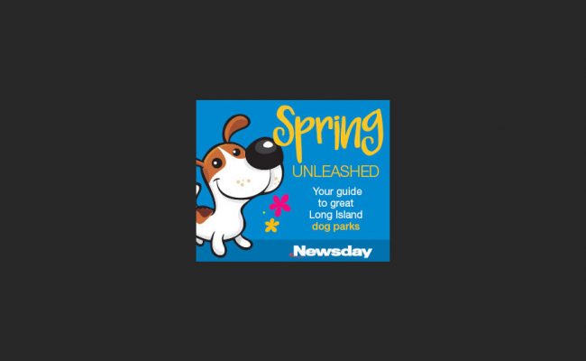 Springiton_Unleashed300x250