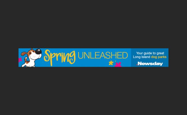 Springiton_Unleashed728x90