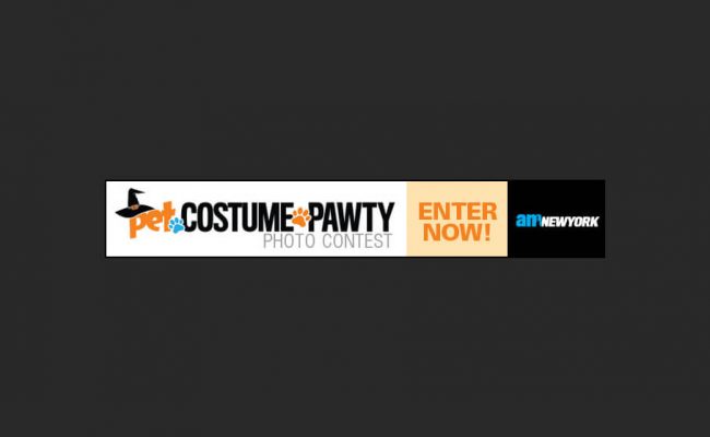 10-amnypetcostumepawtycontest-banner