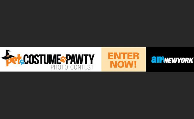 10-amnypetcostumepawtycontest-leaderboard