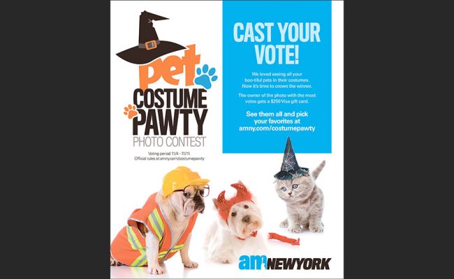 10-amny-petcontestvoting-6×154