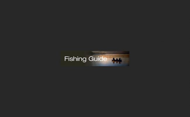 1116directorybanner_fishing3x14a