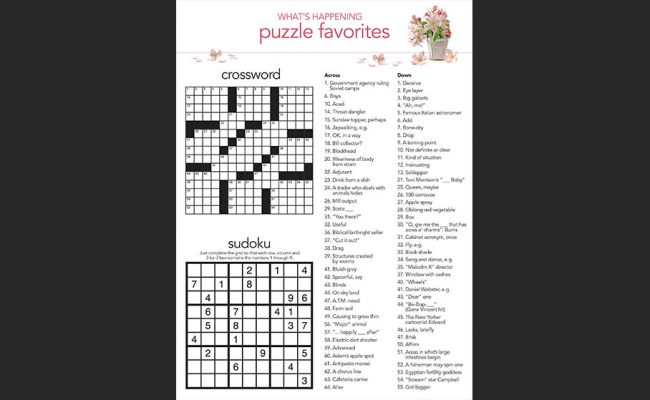 WhatsHappeningApril2017PUzzles