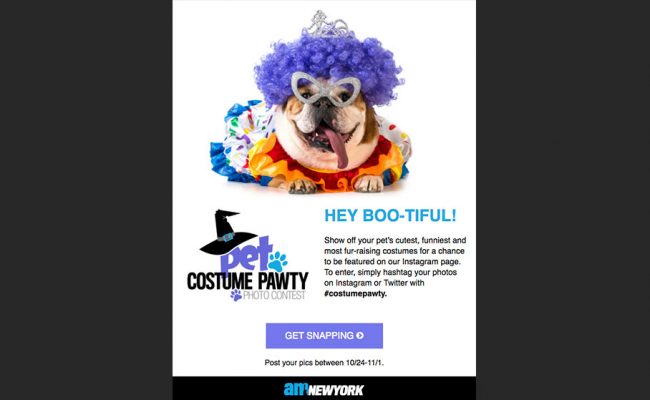 10-amny-pet-costume-contest-email