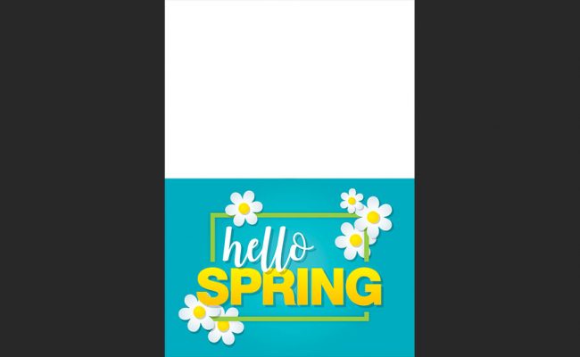 0118AccelCard_spring