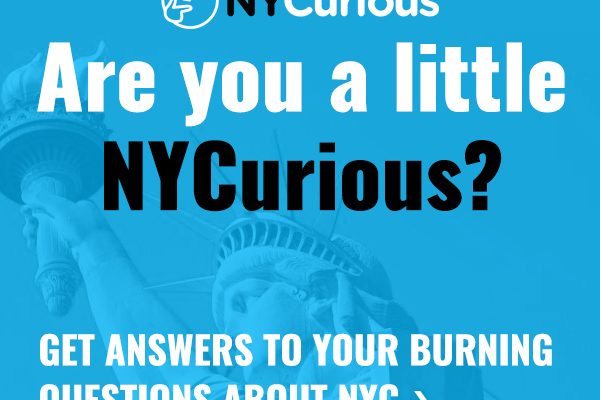 NYCurious_300x250