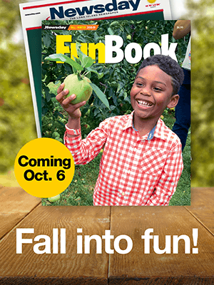 FallFunBook2018_300X600